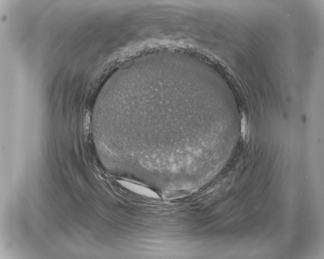 X0000087411492200705111838