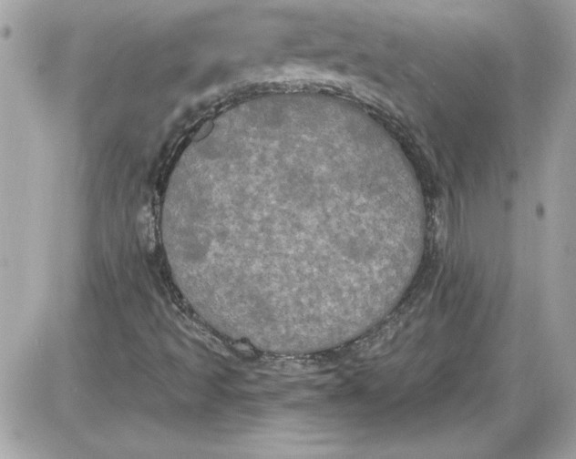 X0000087411493200705111838