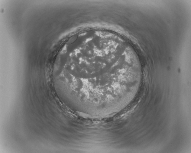 X0000087411494200705111838