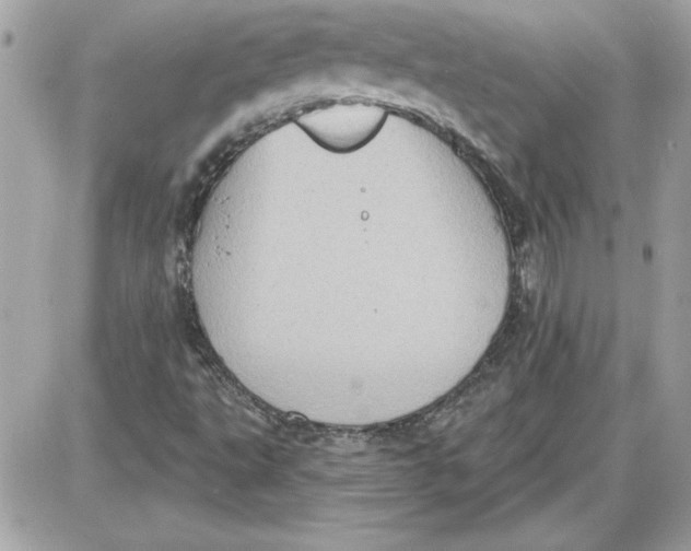 X0000087411495200705111838