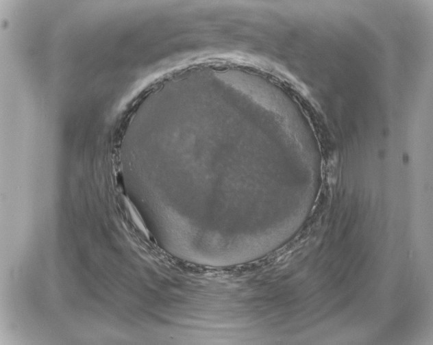 X0000087411496200705111838