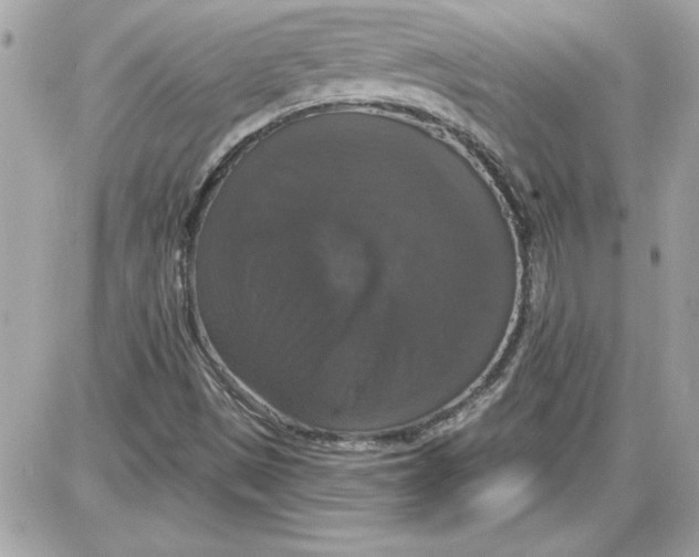 X0000087411497200705111838