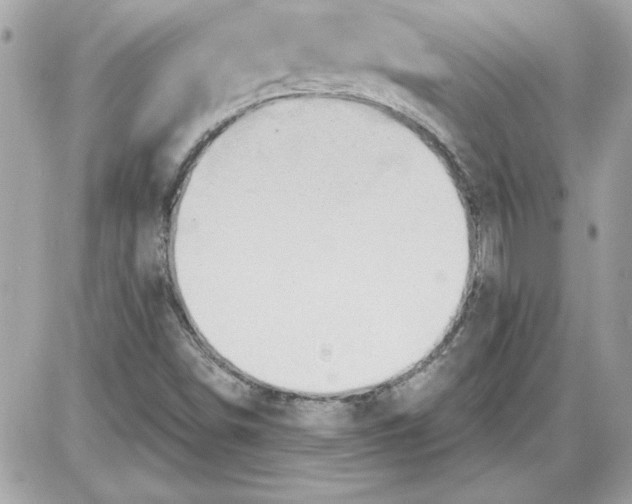 X0000087411498200705111838