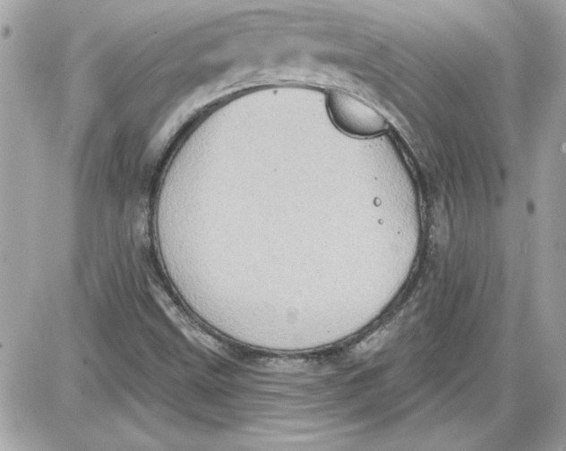 X0000087411499200705111838