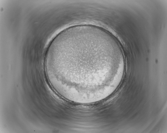 X0000087411500200705111838