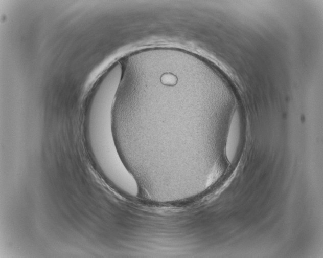 X0000087411502200705111838