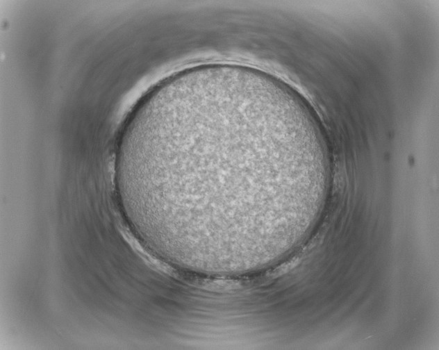 X0000087411503200705111838