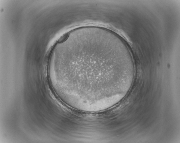 X0000087411504200705111838