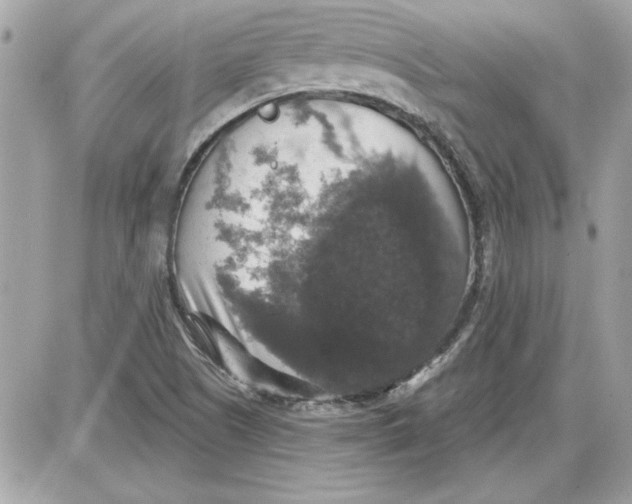 X0000087411505200705111838