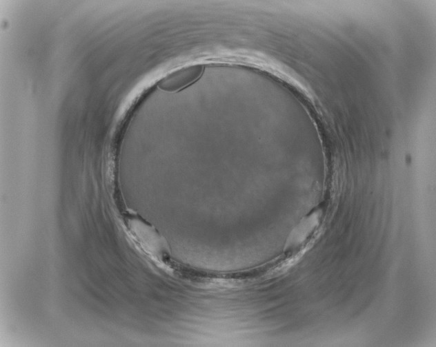 X0000087411506200705111838