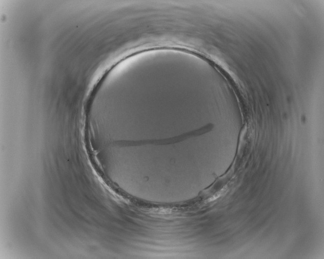 X0000087411508200705111838