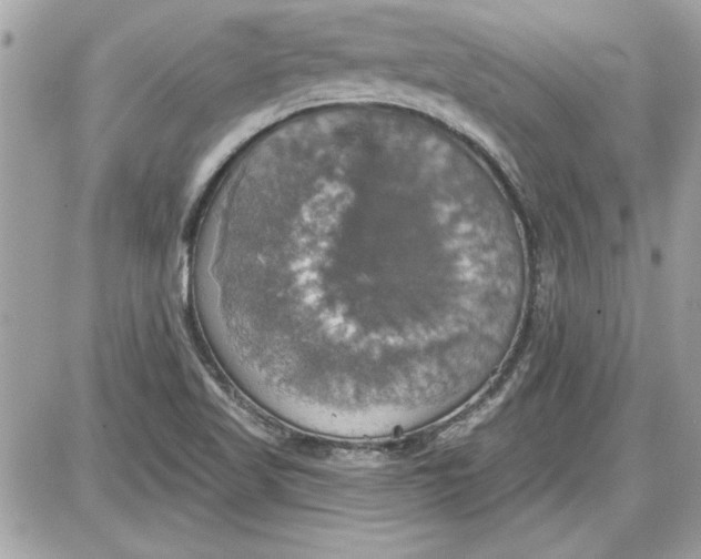 X0000087411509200705111838