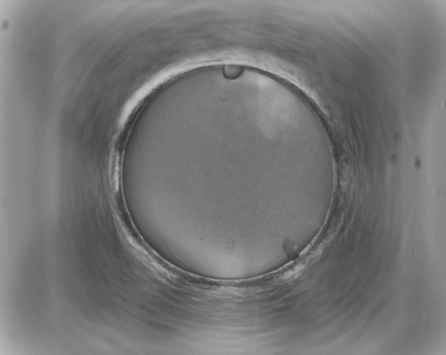 X0000087411510200705111838