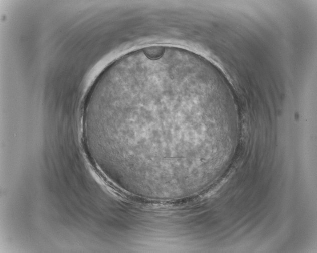 X0000087411511200705111838