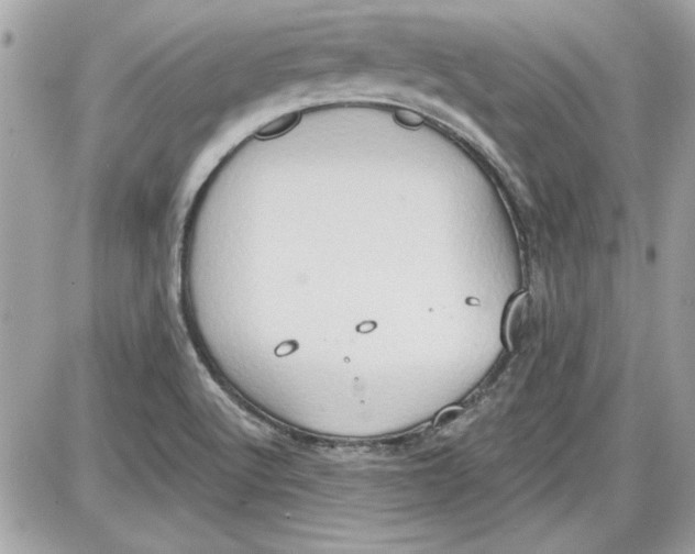 X0000087411512200705111838