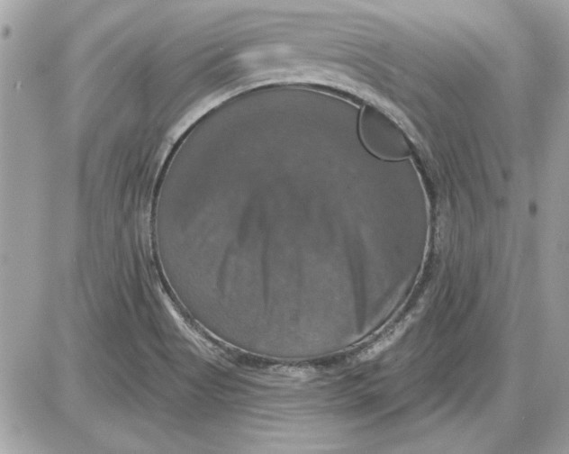 X0000087411513200705111838