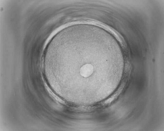 X0000087411514200705111838