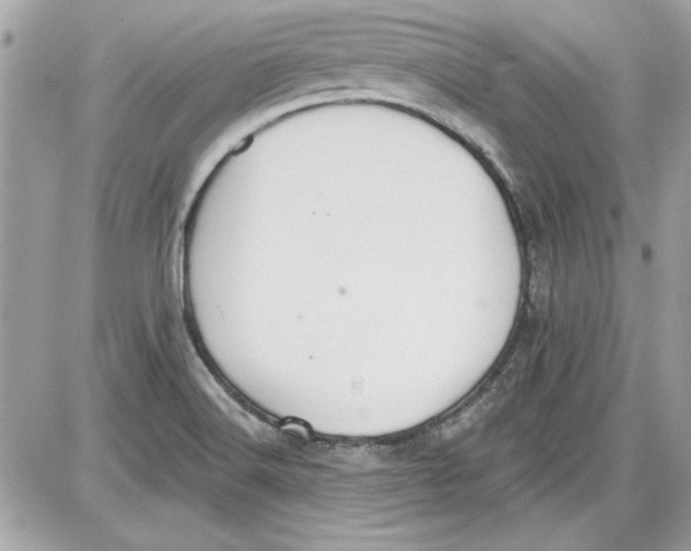 X0000087411516200705111838