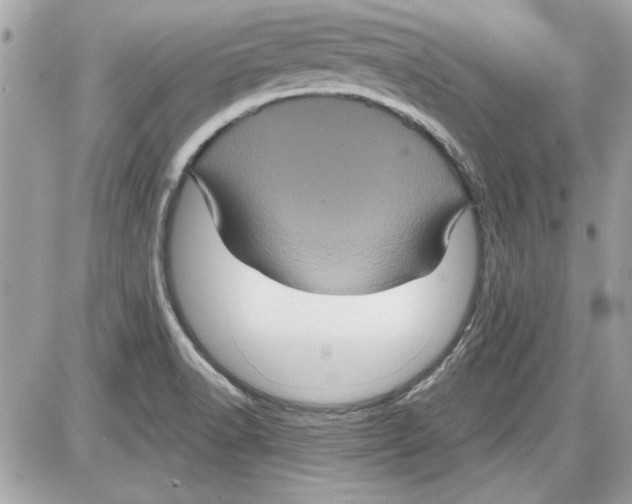 X0000087411518200705111838