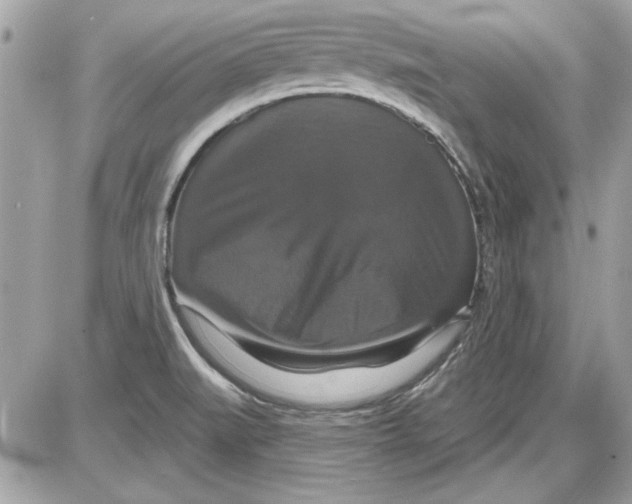 X0000087411519200705111838