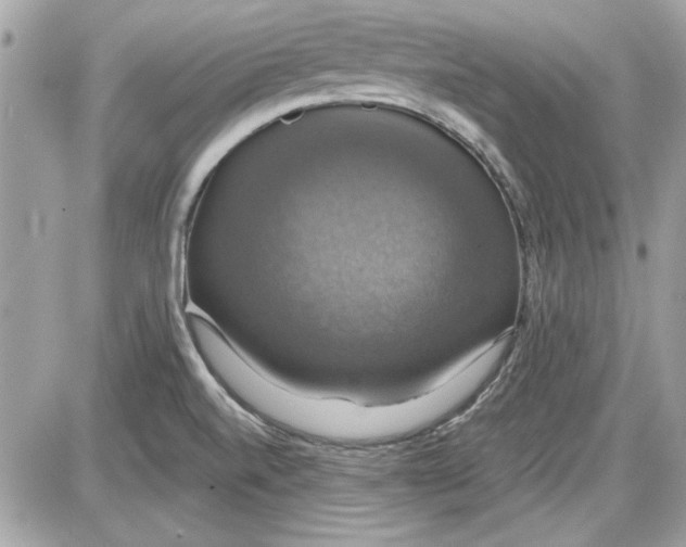 X0000087411520200705111838