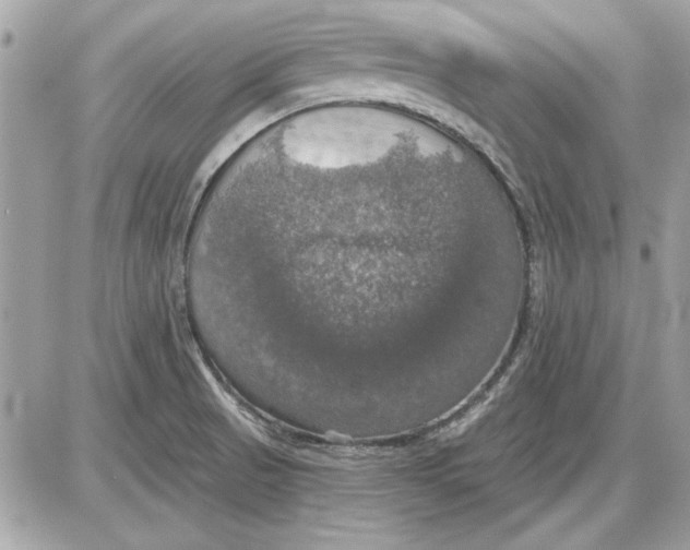 X0000087411521200705111838