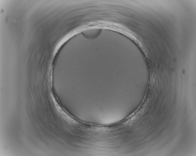 X0000087411522200705111838