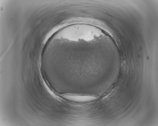 X0000087411523200705111838