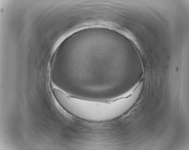 X0000087411524200705111838