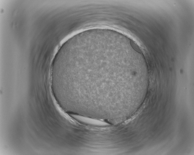 X0000087411526200705111838