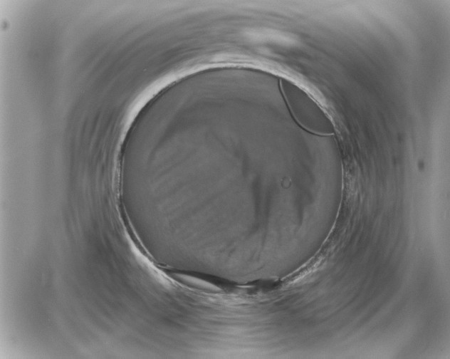 X0000087411527200705111838