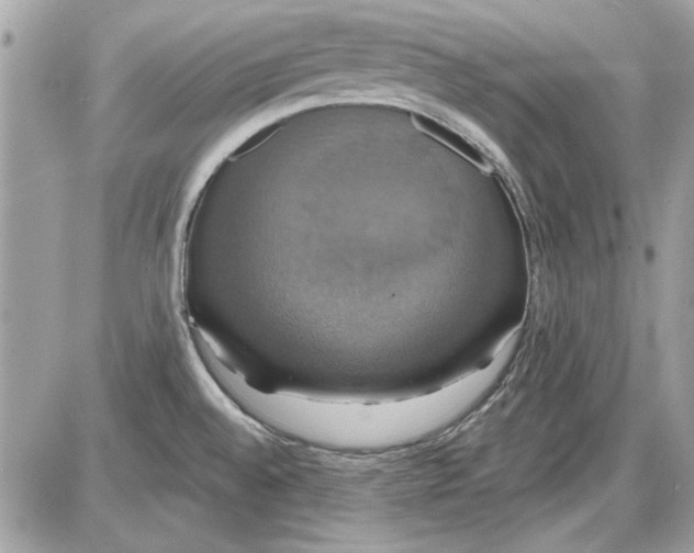 X0000087411528200705111838