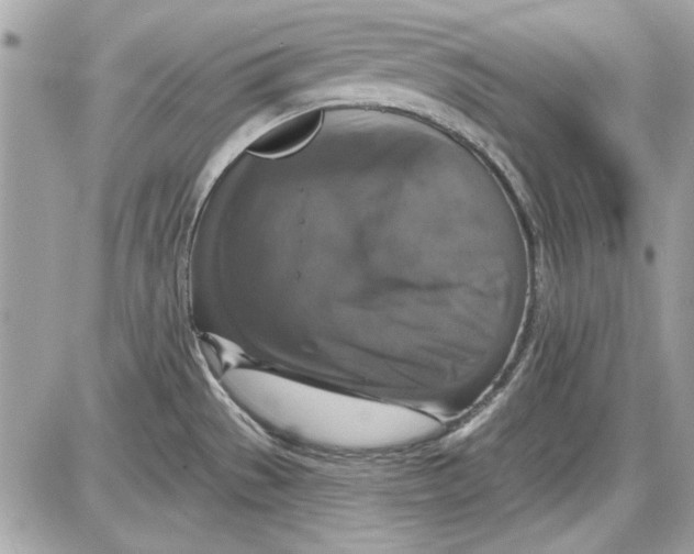 X0000087411529200705111838