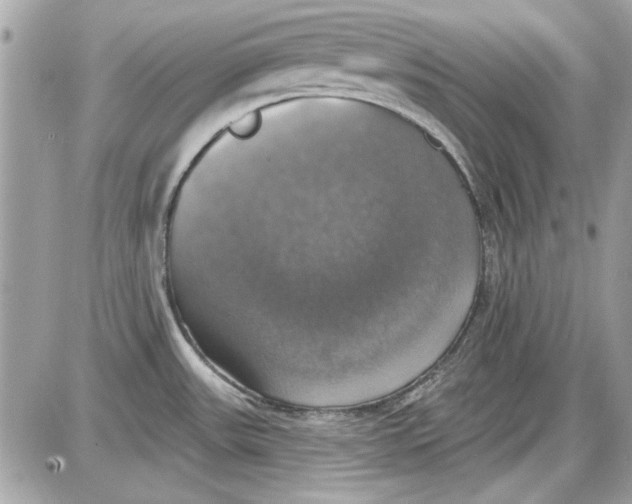 X0000087411531200705111838