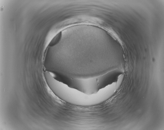 X0000087411532200705111838