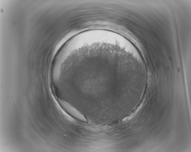 X0000087411533200705111838