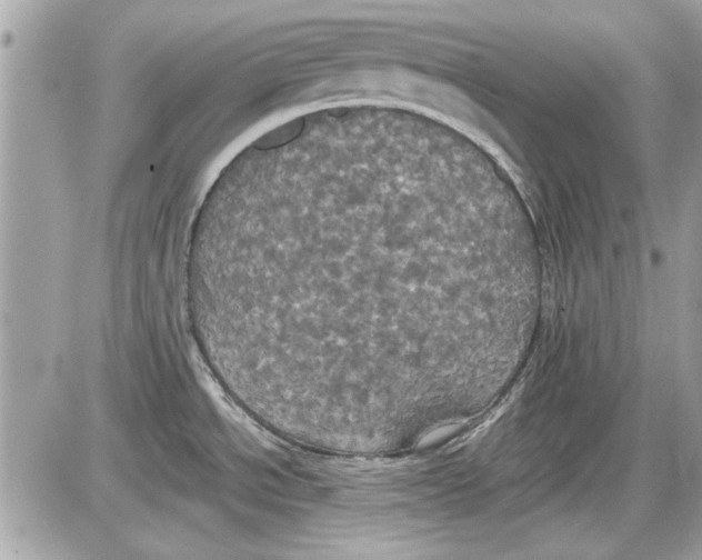 X0000087411534200705111839