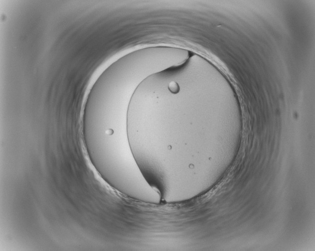 X0000087411536200705111839