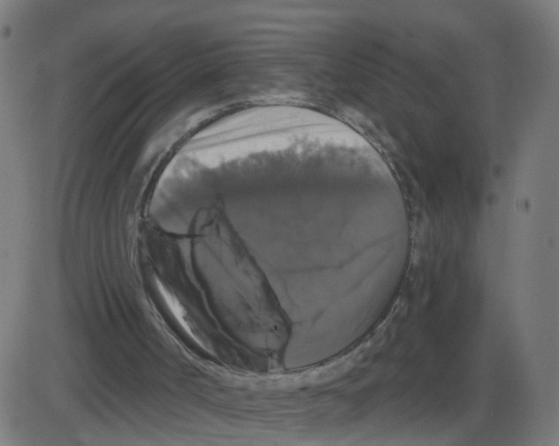 X0000087410002200705181409