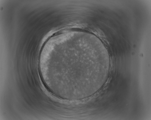 X0000087410003200705181409