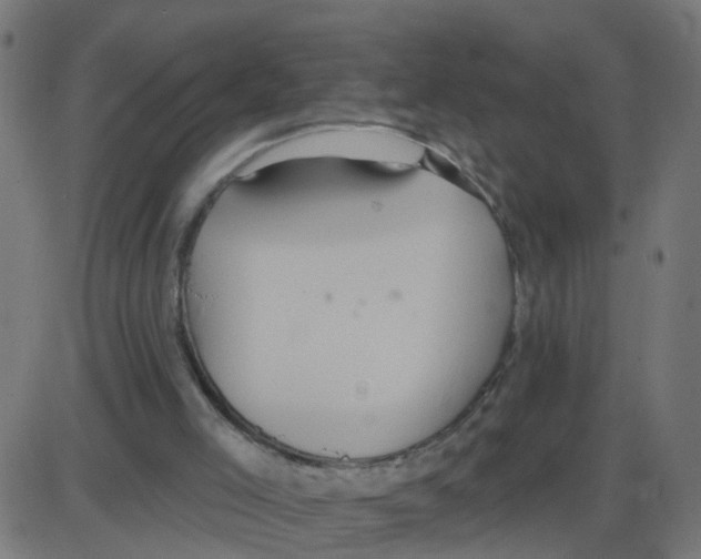 X0000087410005200705181409