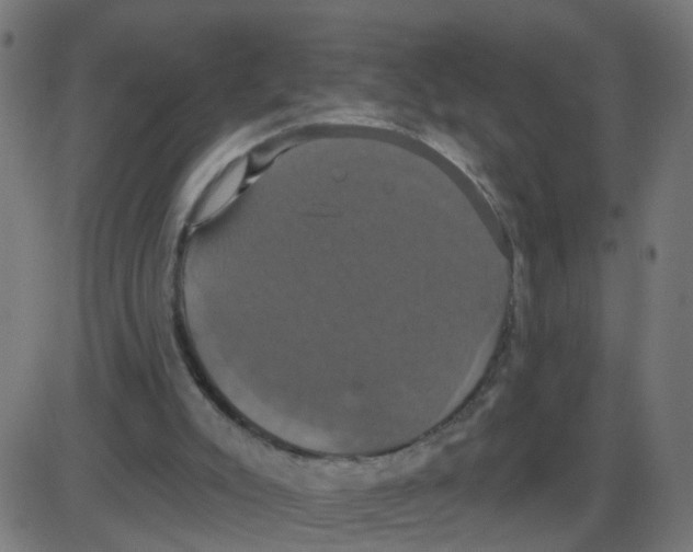 X0000087410007200705181409