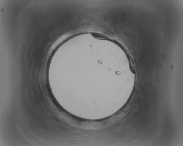 X0000087410008200705181409