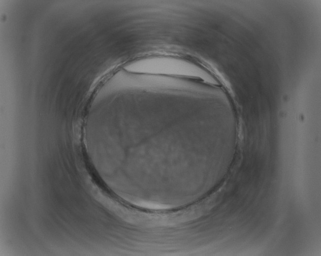 X0000087410010200705181409