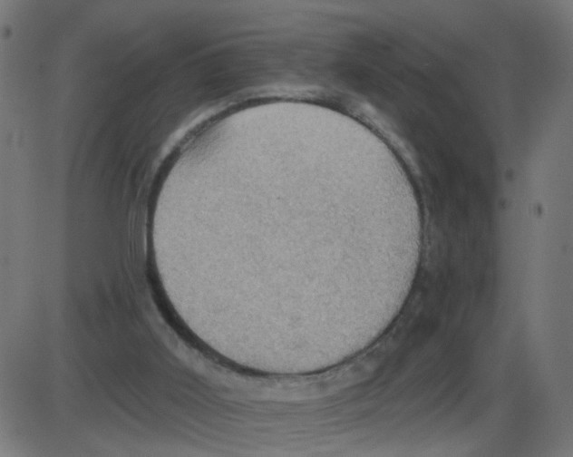 X0000087410011200705181409