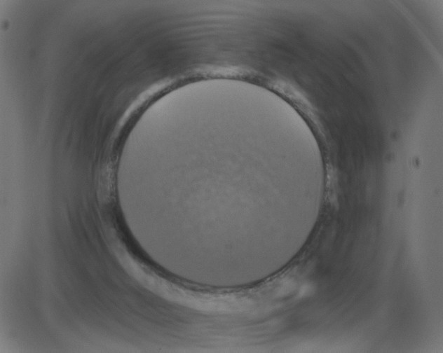 X0000087410012200705181409