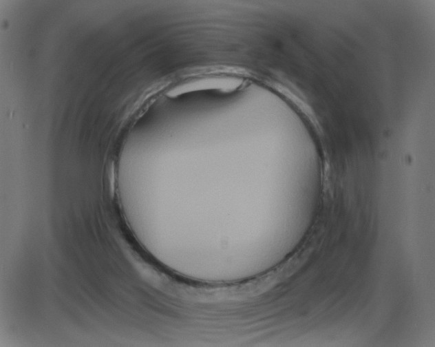 X0000087410013200705181409