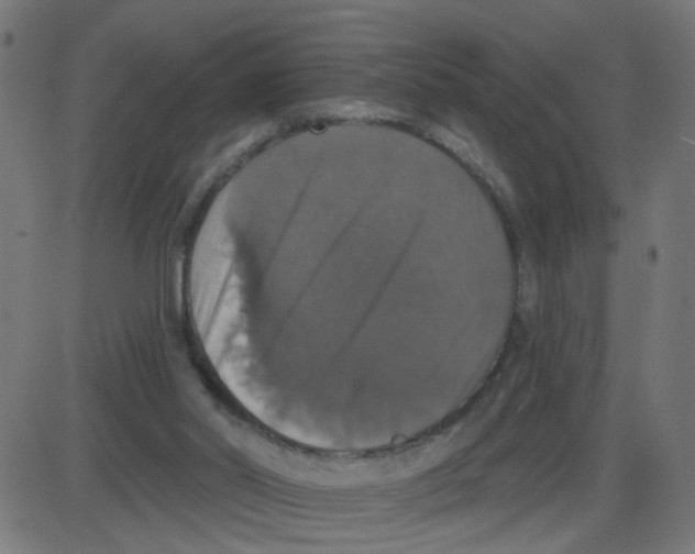 X0000087410014200705181409