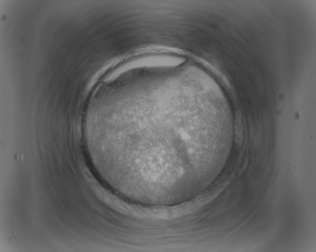 X0000087410015200705181409