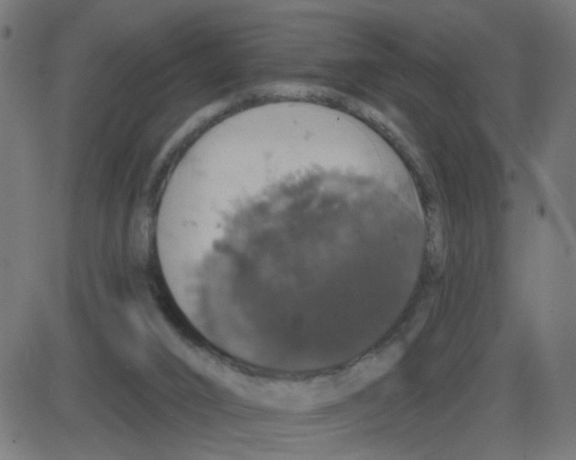 X0000087410016200705181409